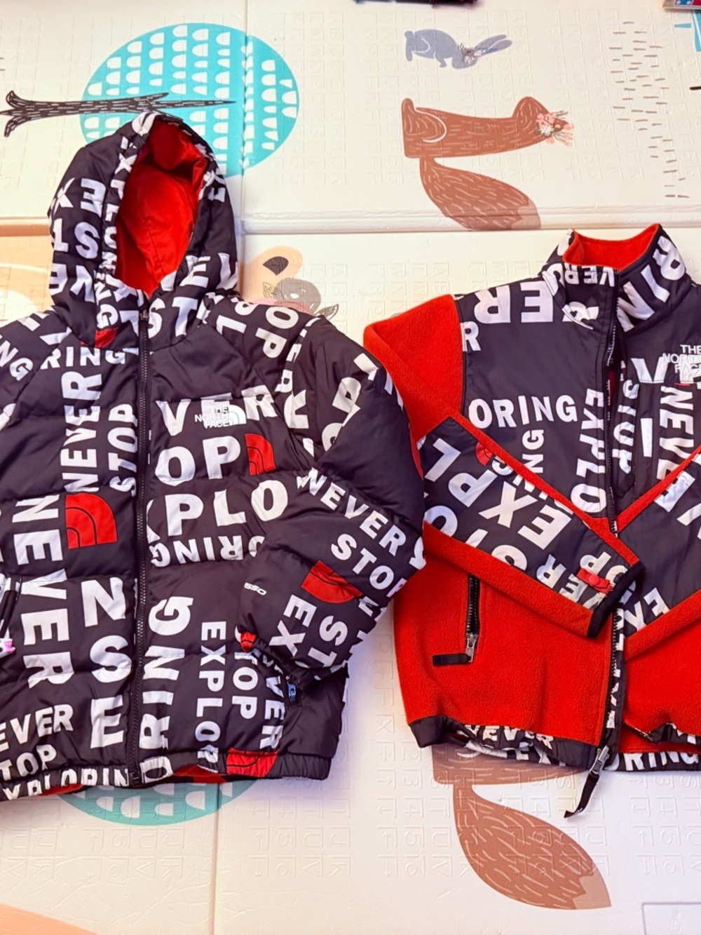 The North Face Set 10-12 Kids Puffer Jacket with Fleece Zip Up